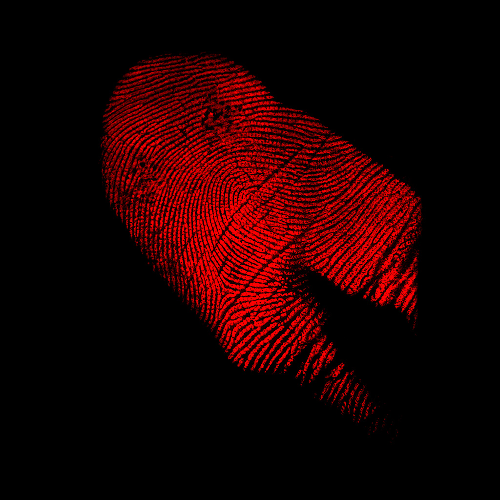 finger Print 3