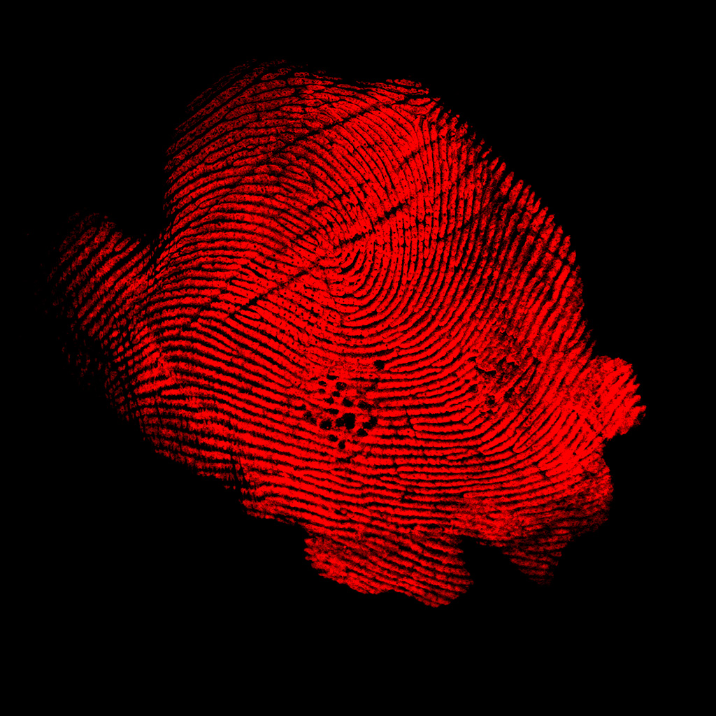 finger Print 4